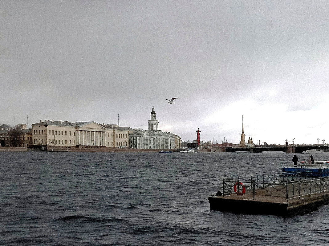 Нева в центре  Питера  в плохую  погоду - Фотогруппа Весна