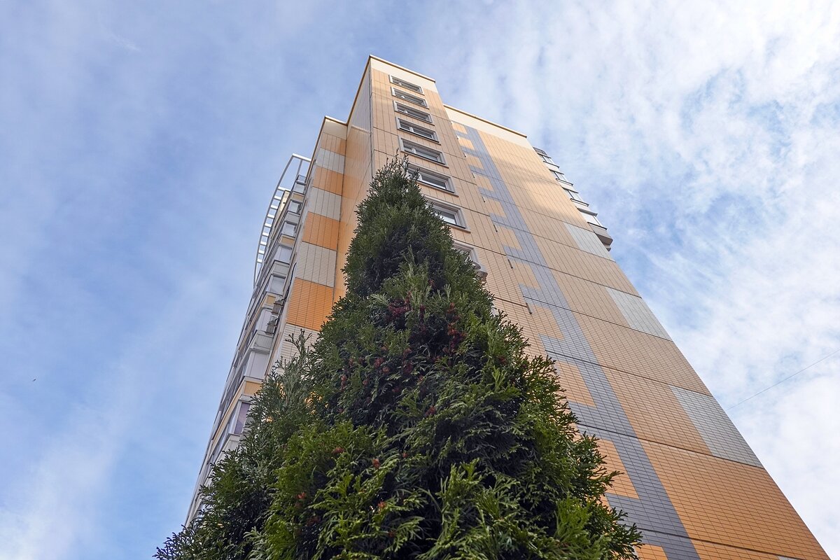 Дорасти до крыши - Валерий Иванович Дорасти до крыши - Валерий Иванович