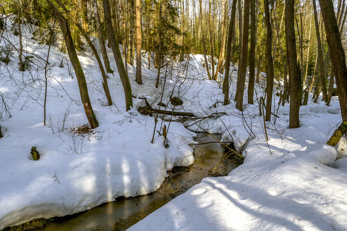 Мартовский ручей - Сергей Цветков Мартовский ручей - Сергей Цветков