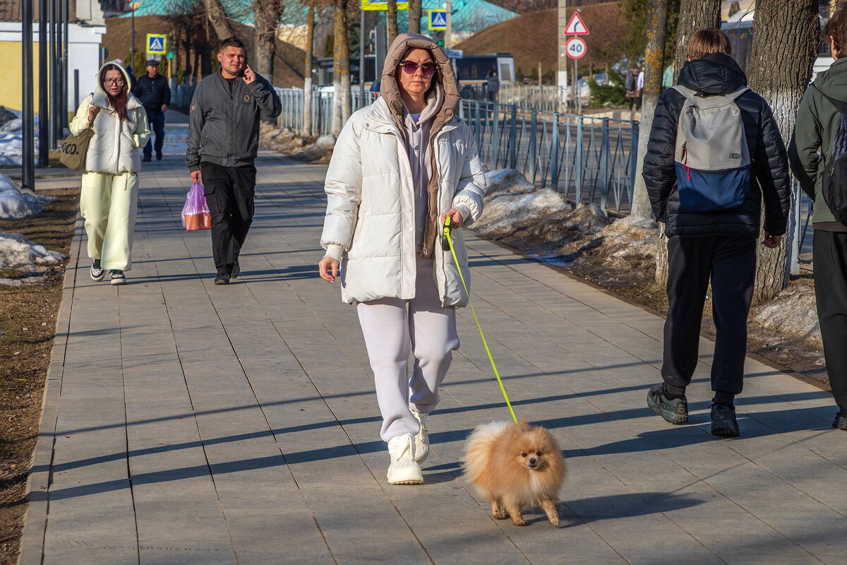 Вечерний променад с собачкой. - Анатолий. Chesnavik. Вечерний променад с собачкой. - Анатолий. Chesnavik.