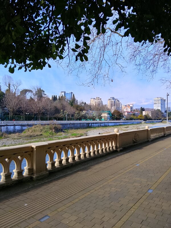 р.Сочи - Tata Wolf