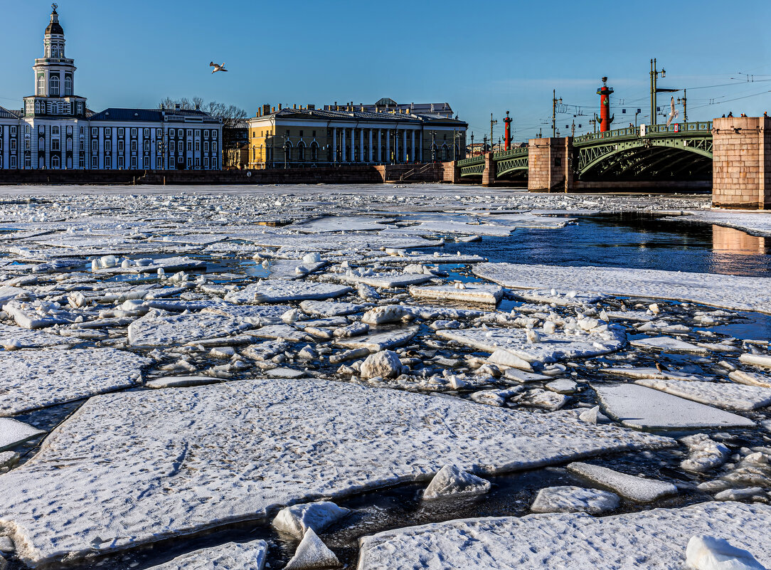 Четыре вороны и чайка - Eugene * Четыре вороны и чайка - Eugene *
