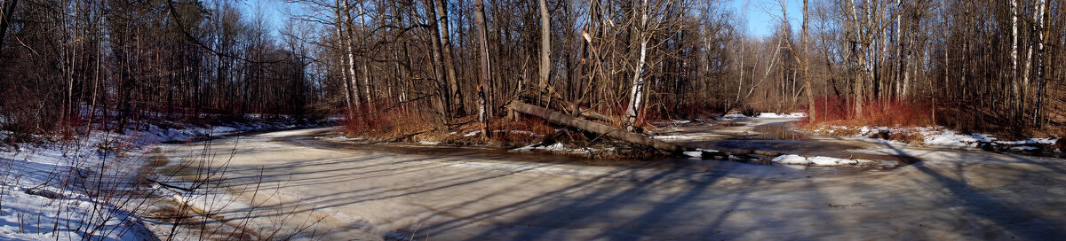Наступление  весны - Иван Миронов