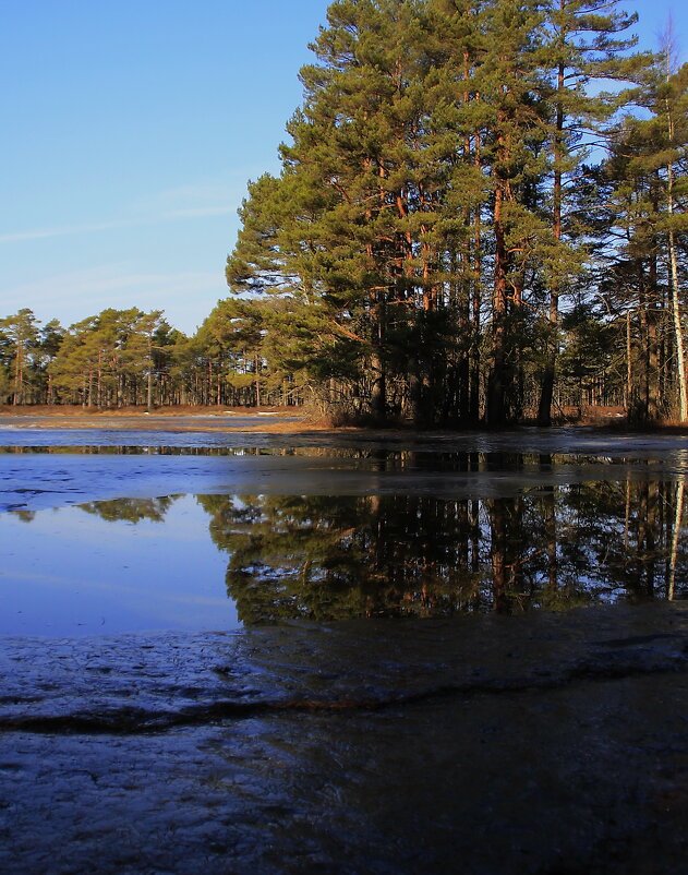 Тихий мартовский день .. - Татьян@ Ивановна