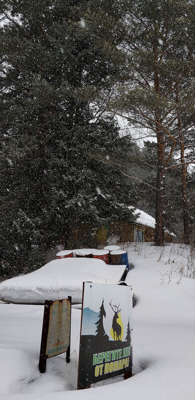 Береги лес!!! - Радмир Арсеньев