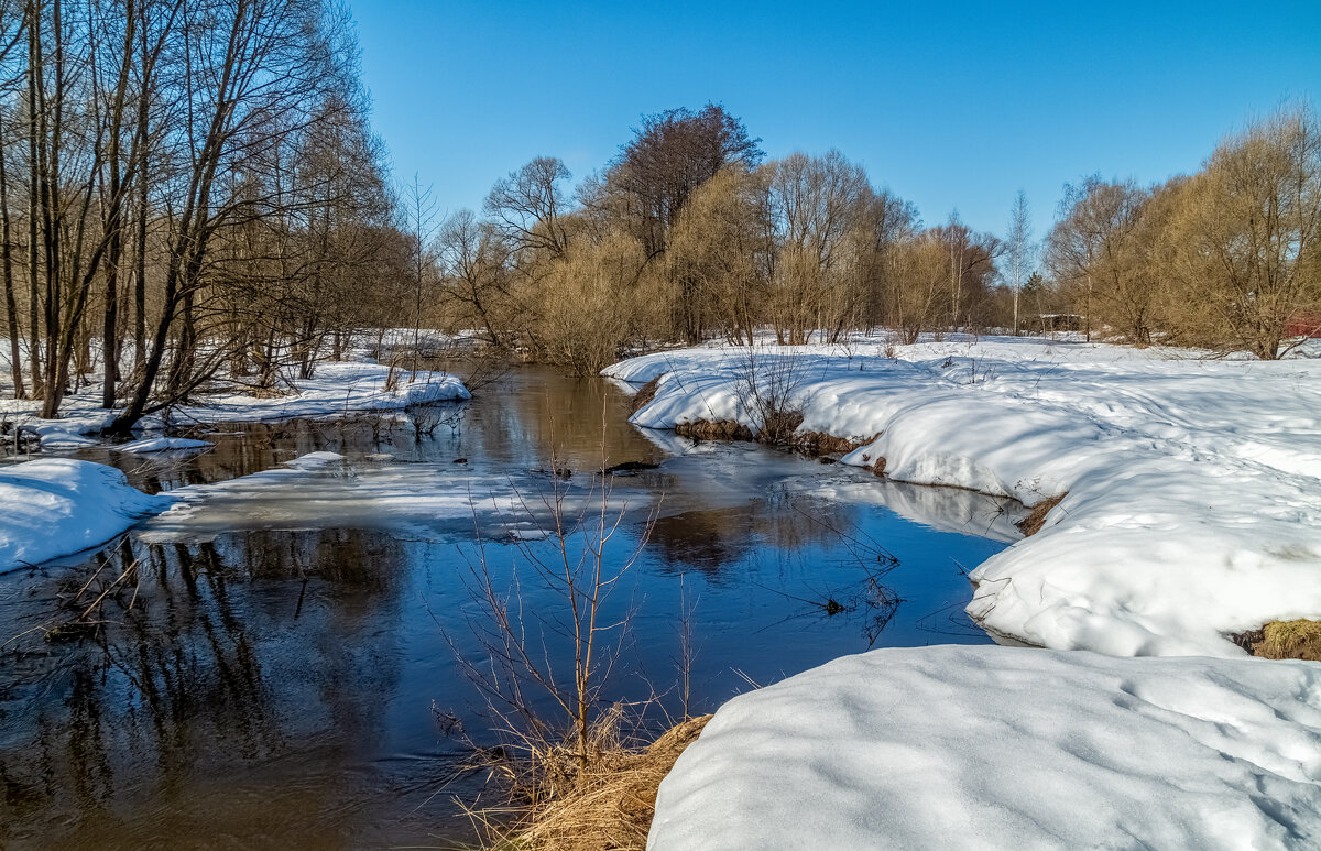 Вешние воды - Андрей Дворников