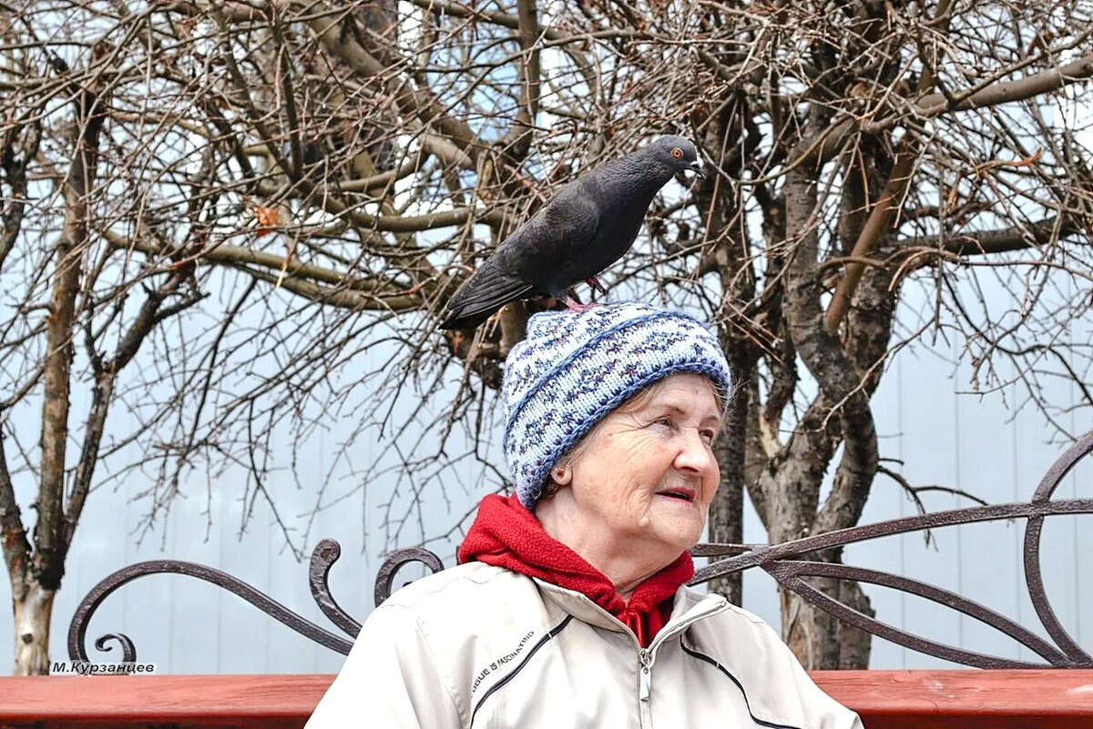 Дружба. - Михаил Курзанцев