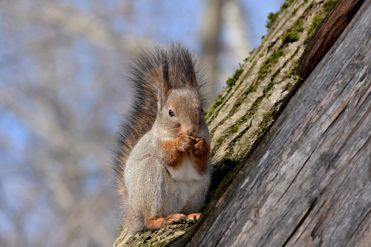 ,,,,,,,, - Алексей . ,,,,,,,, - Алексей .