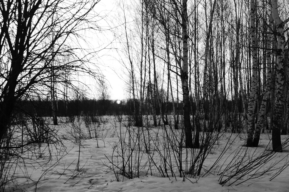 Мечты о ч/б Лейке 64. - Михаил Елочкин Мечты о ч/б Лейке 64. - Михаил Елочкин