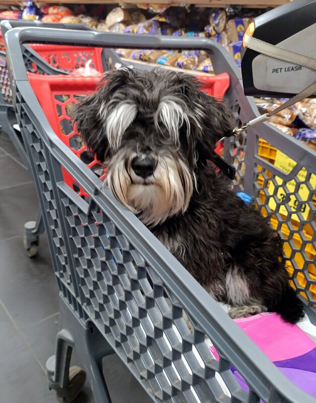 Серьёзный покупатель. - Ирина *** Серьёзный покупатель. - Ирина ***