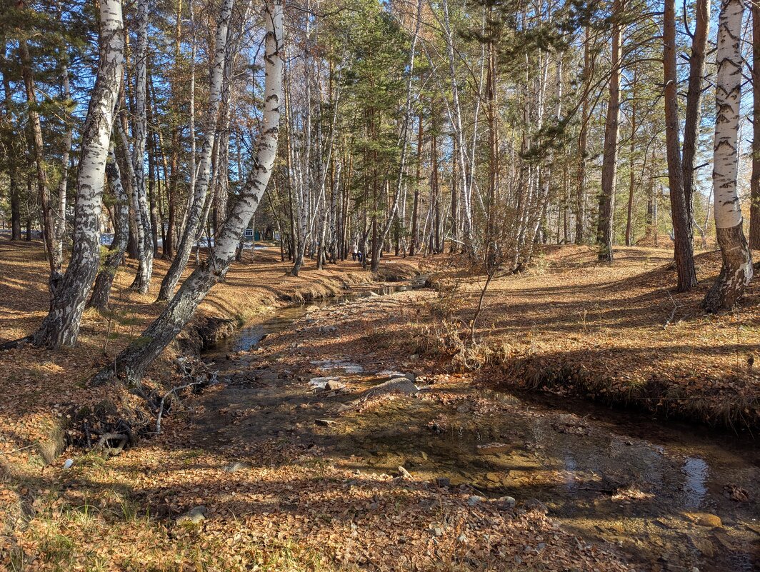 Лесная речка - Андрей Хлопонин