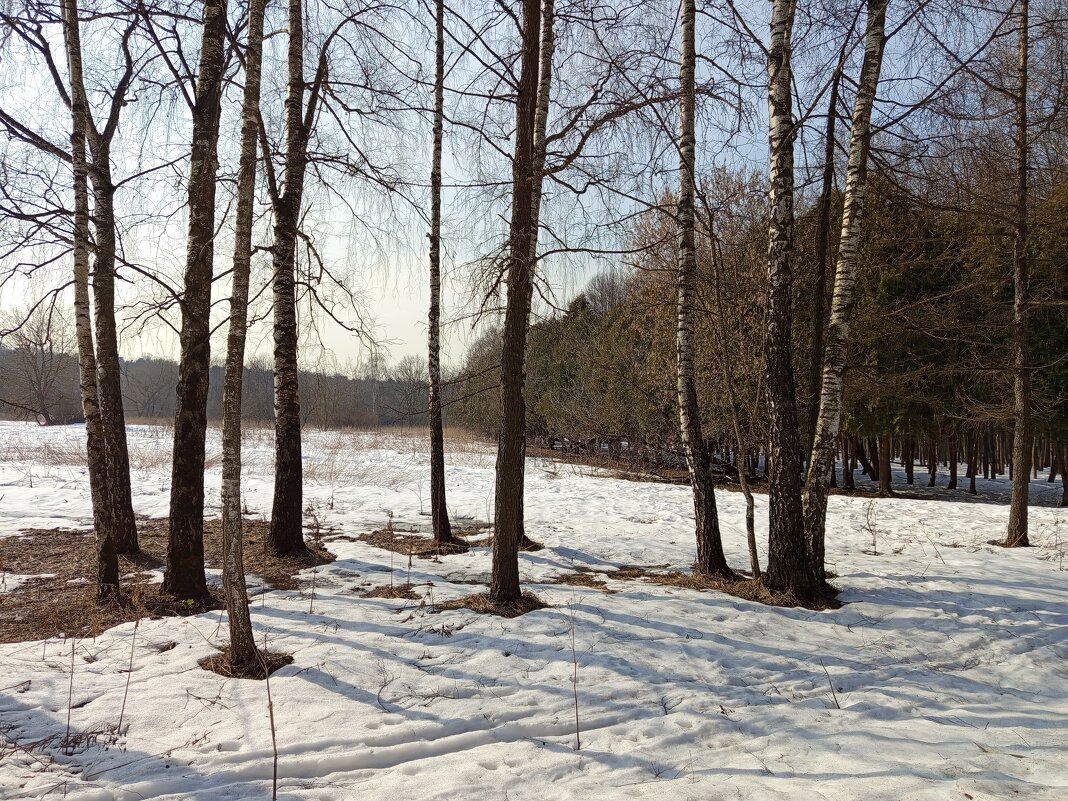 Март в Измайловском парке - Андрей Лукьянов