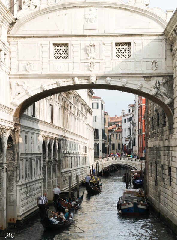Мост Вздохов,Венеция 2013 - Любовь Сахарова
