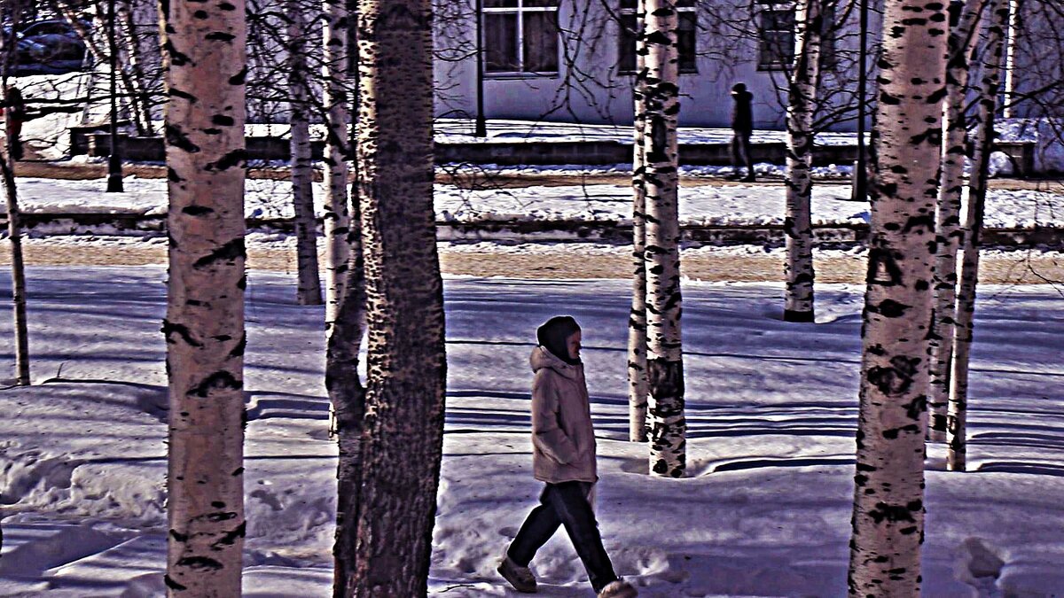 Март...Утро в березовом сквере! - Владимир 