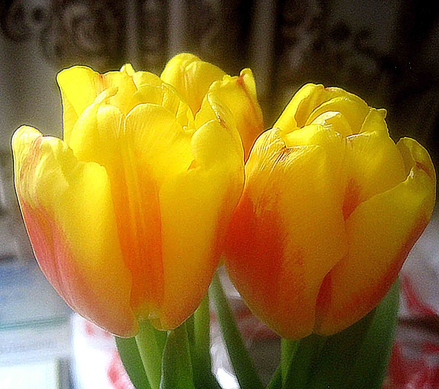 Солнечные - Елена Семигина