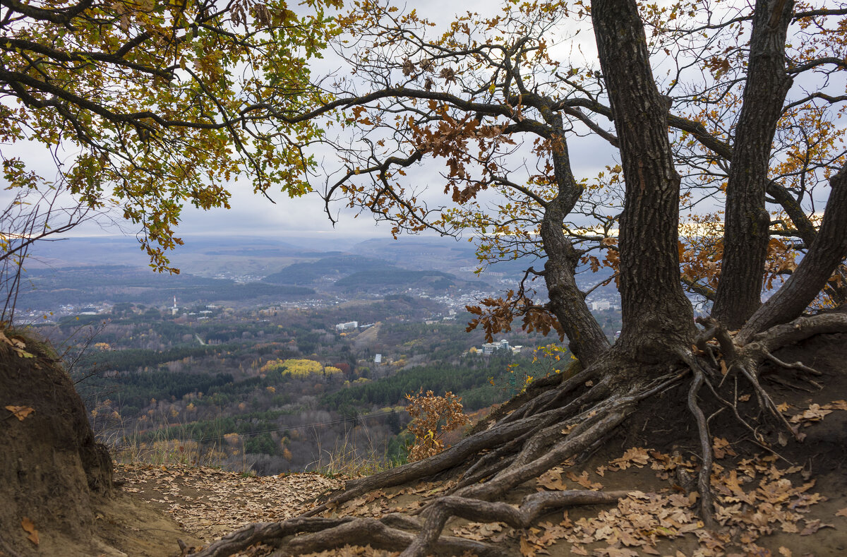 Кисловодский парк - Марина 