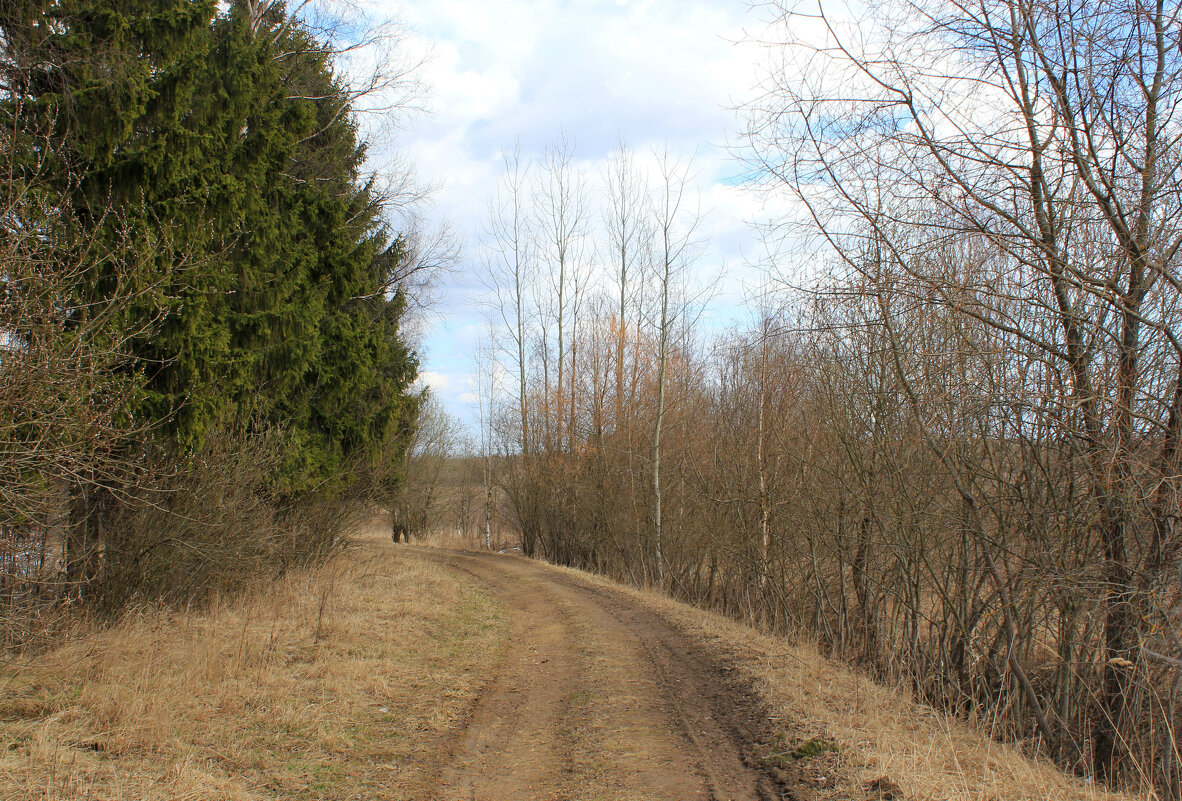 Вечне - дорогу! - Наталья Лунева 