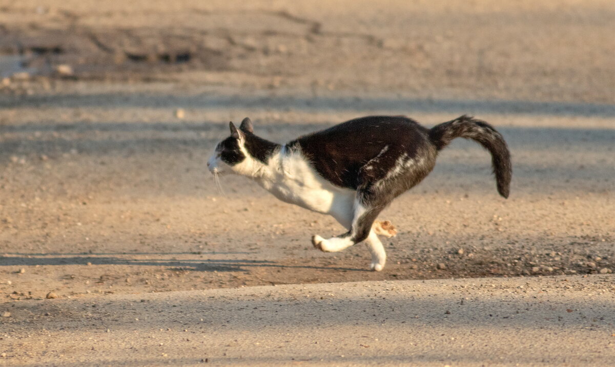 -- - vladimir -- - vladimir