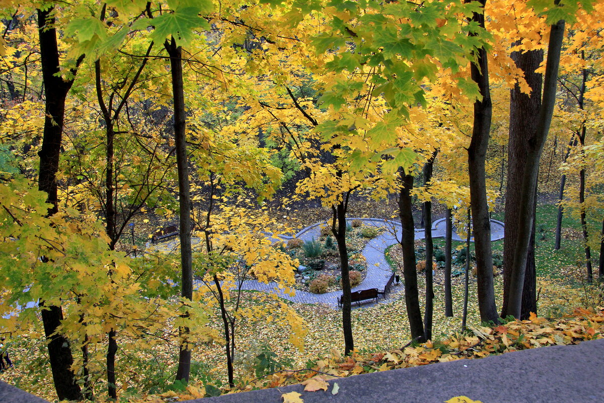 Осень в парке. - Сергей Рожков