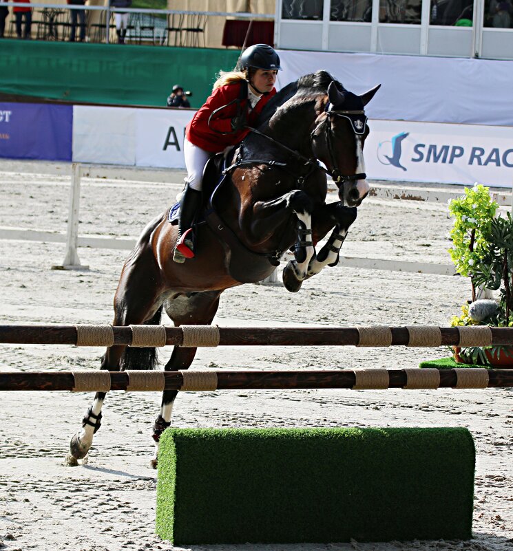 Конкур - Владимир59 