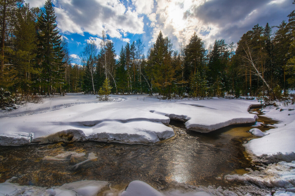 Весеннее настроение - Vladimbormotov Весеннее настроение - Vladimbormotov