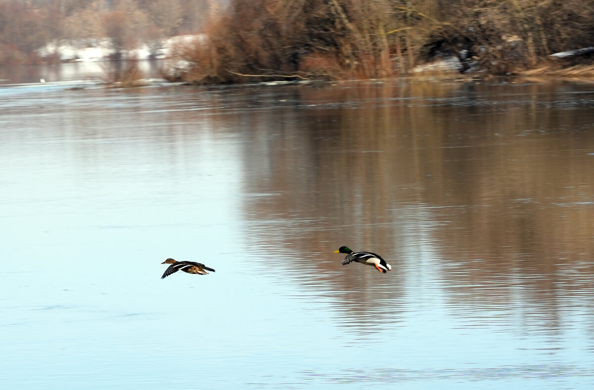 Летать так летать, я им помашу рукой - Lersa Летать так летать, я им помашу рукой - Lersa