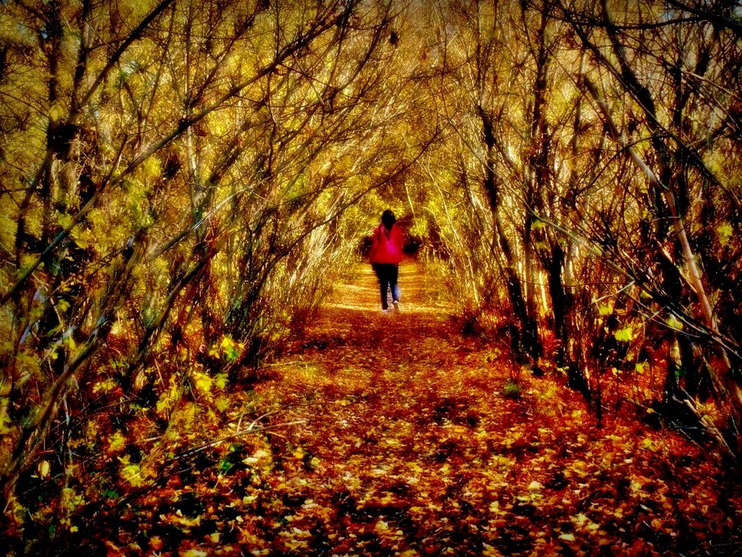 - - Aндрей Антонов