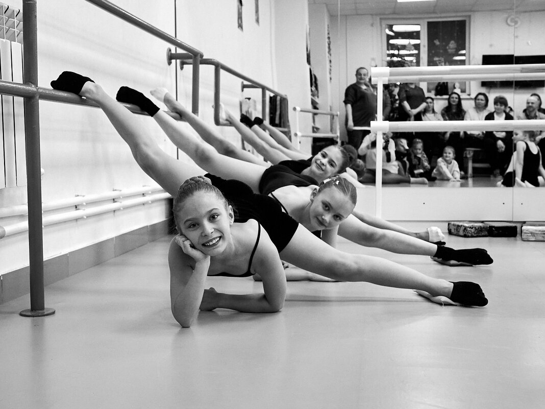 Мягкость стальных линий - Елена Панова Мягкость стальных линий - Елена Панова