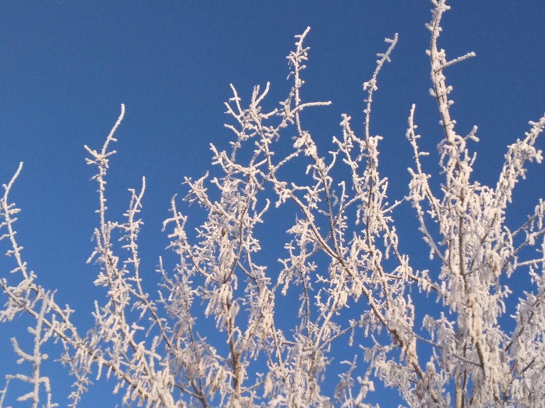 Зимнее кружево - Алекс Бухаров