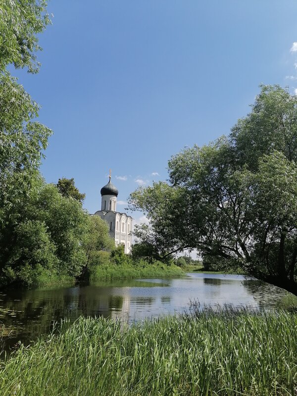 Храм Покрова на Нерли - Алекс Бухаров