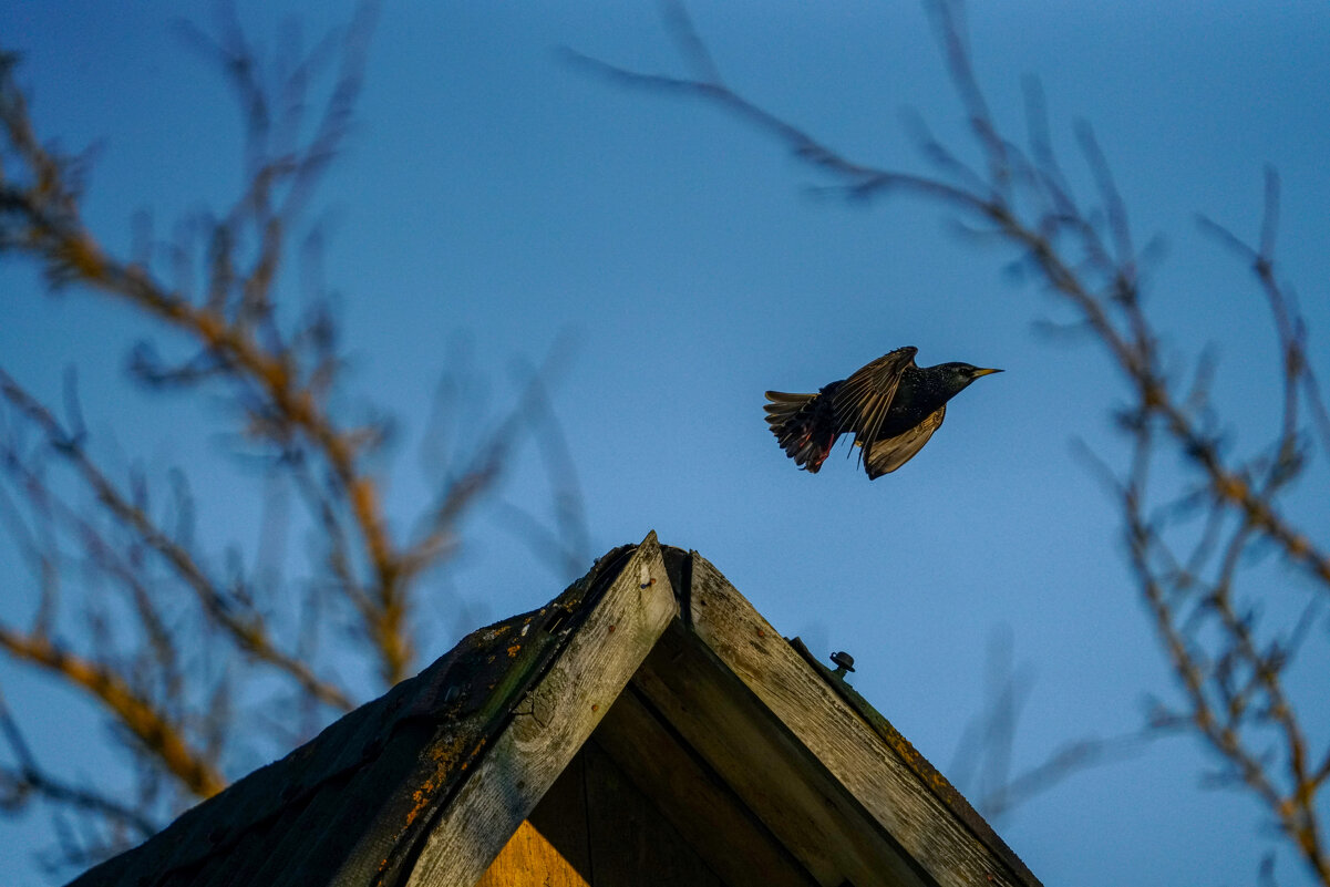 Мгновение взлёта - Иван Литвинов Мгновение взлёта - Иван Литвинов