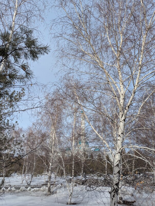 Весна - Андрей Хлопонин