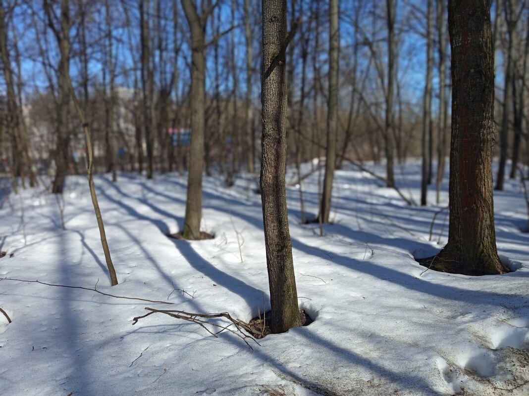 Март, которого жду целый год - Андрей Лукьянов