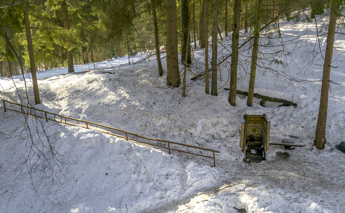 Родник - Сергей Цветков Родник - Сергей Цветков