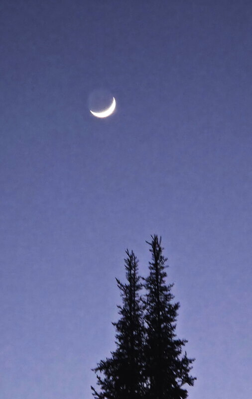 Растущая луна - Людмила Смородинская Растущая луна - Людмила Смородинская