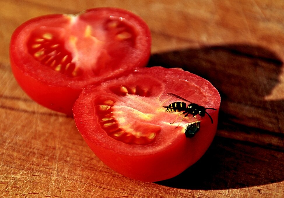 А ТЫ посадил рассаду помидоров...)) - Владимир Хиль