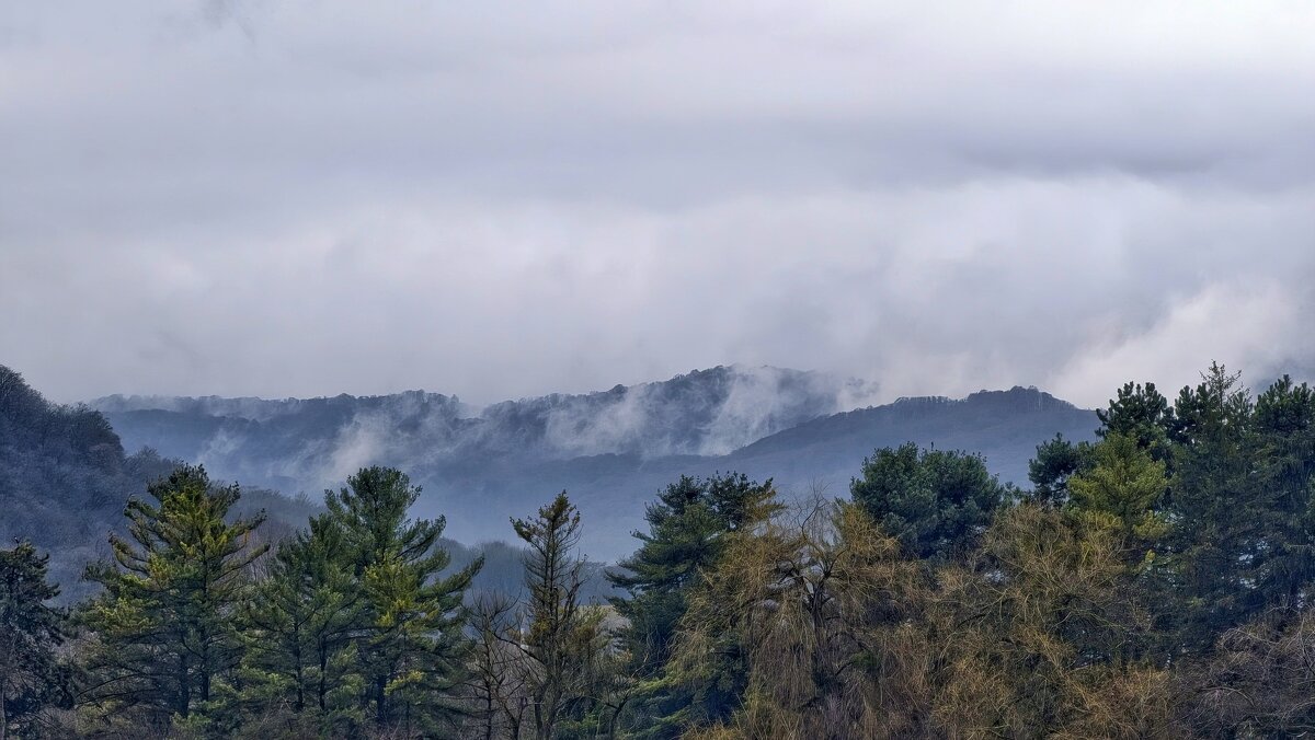 Вид на горы - Мариша 