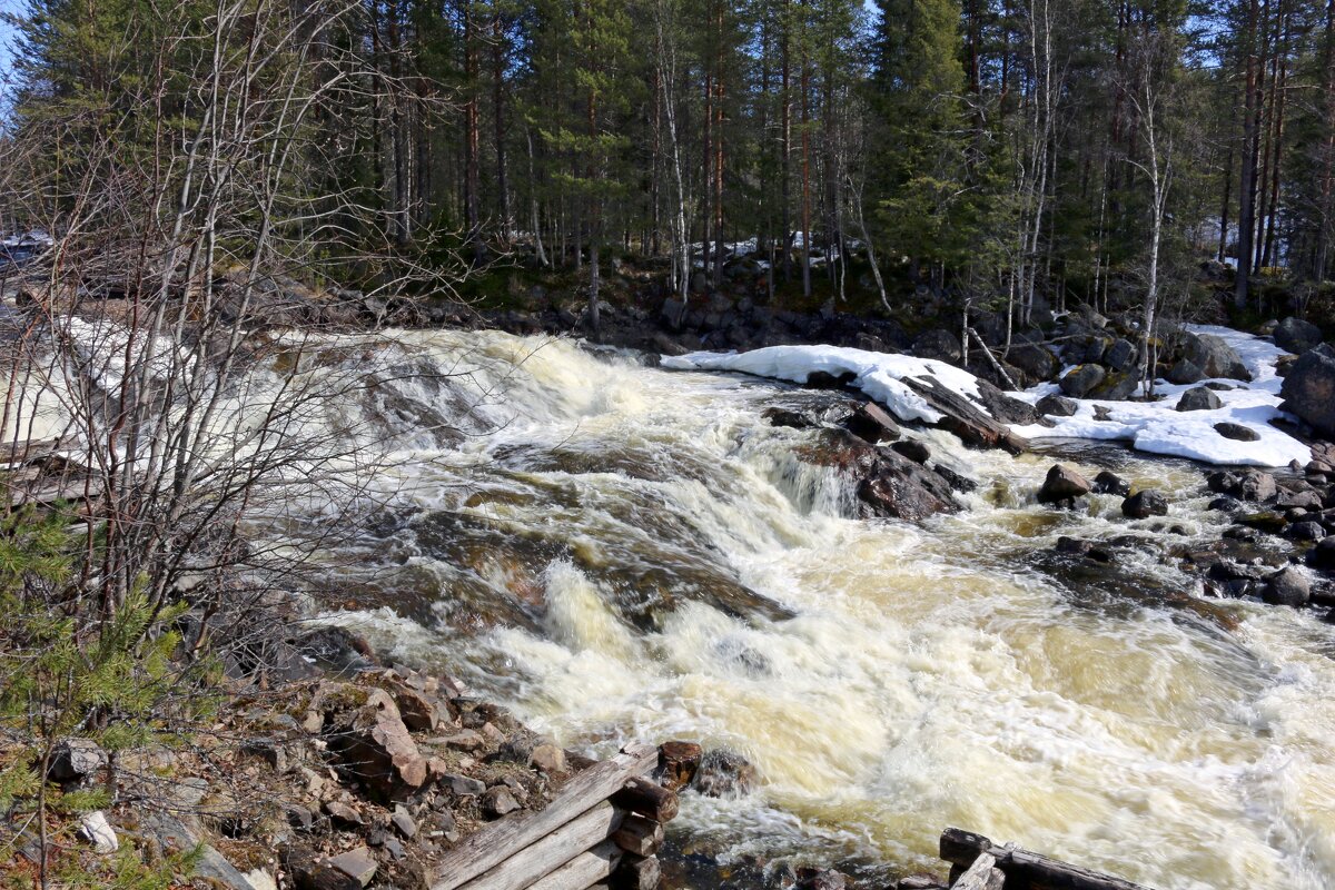 Весенний поток - Ольга 