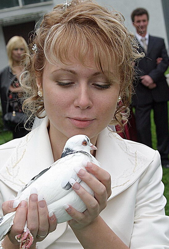 ГОЛУБКА. - Александр Дмитриев ГОЛУБКА. - Александр Дмитриев