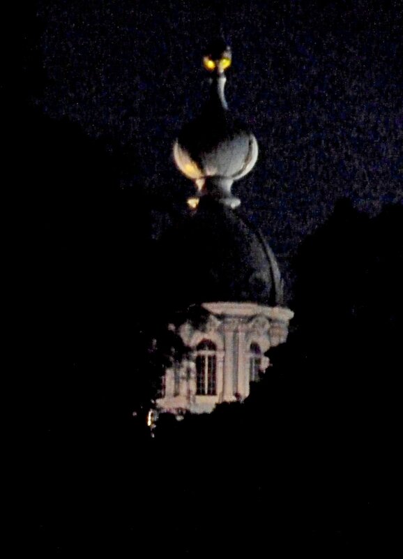 ПИТЕР. - Виктор Осипчук