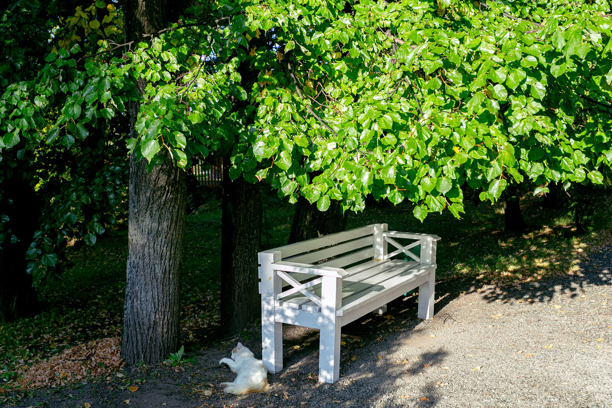 Вечер - Александр Силинский Вечер - Александр Силинский