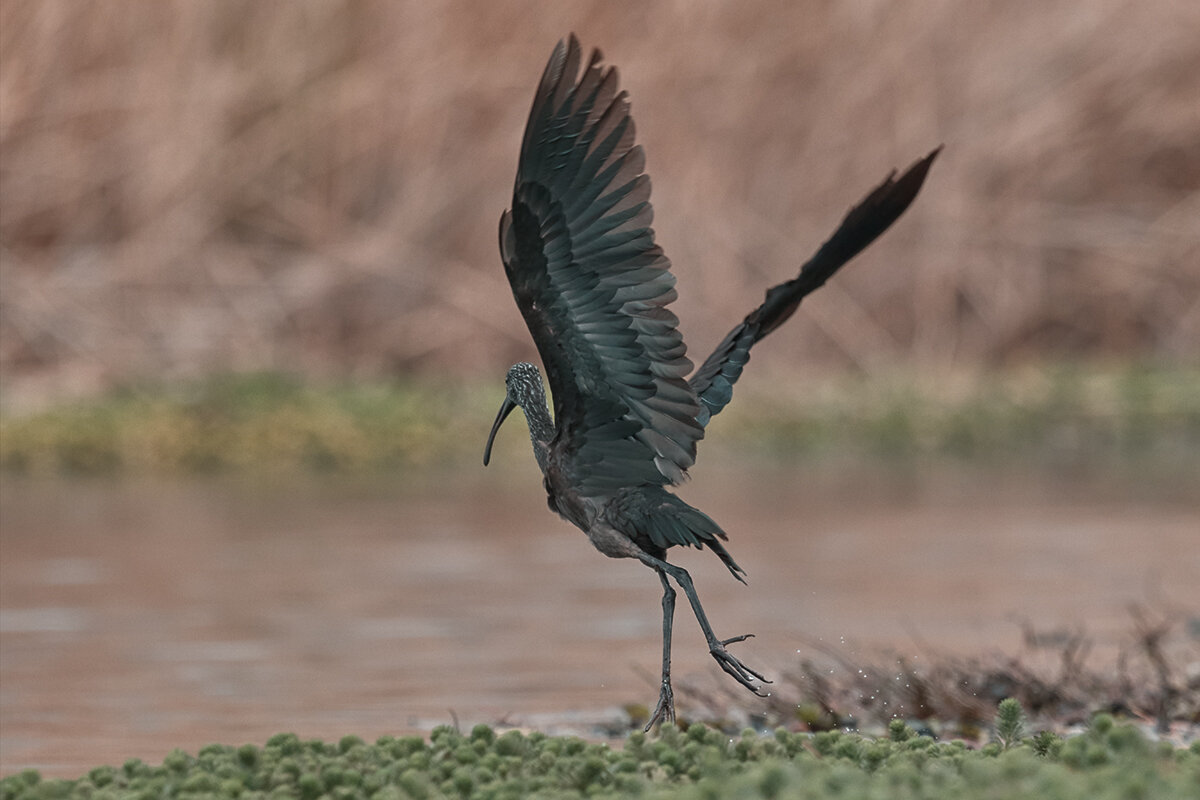 Каравайка - Yudong Liu