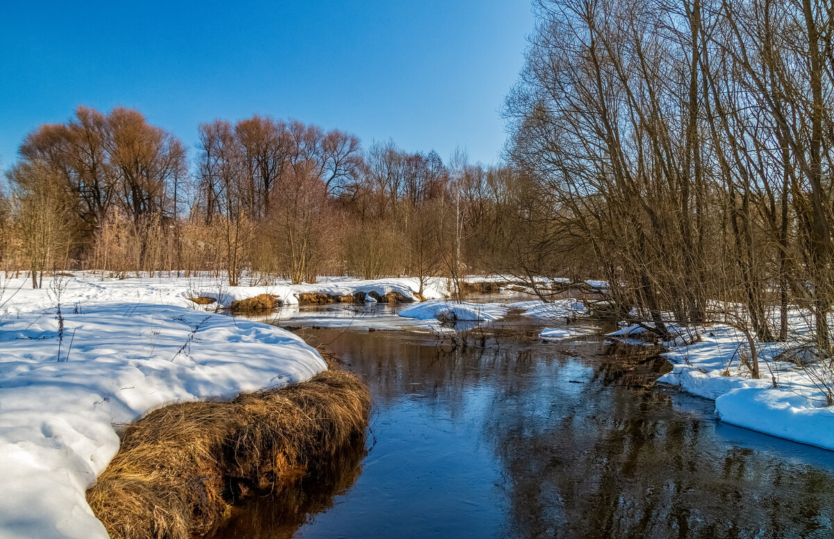 Вешние Воды 3 - Андрей Дворников