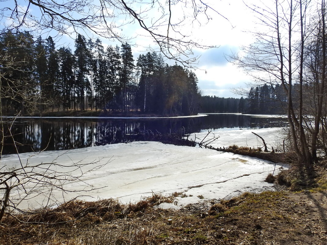 весна - ИННА ПОРОХОВА