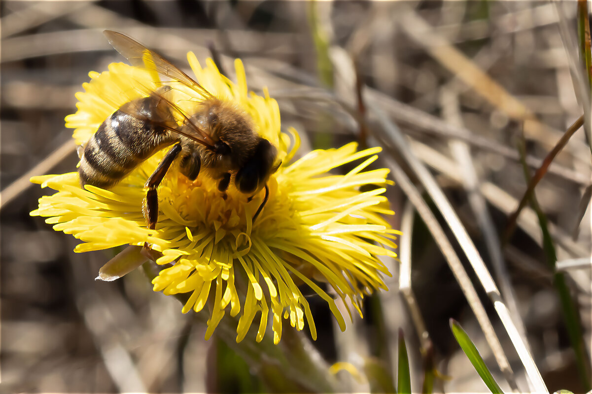 «Я не волшебник, я только учусь!» - валерий 