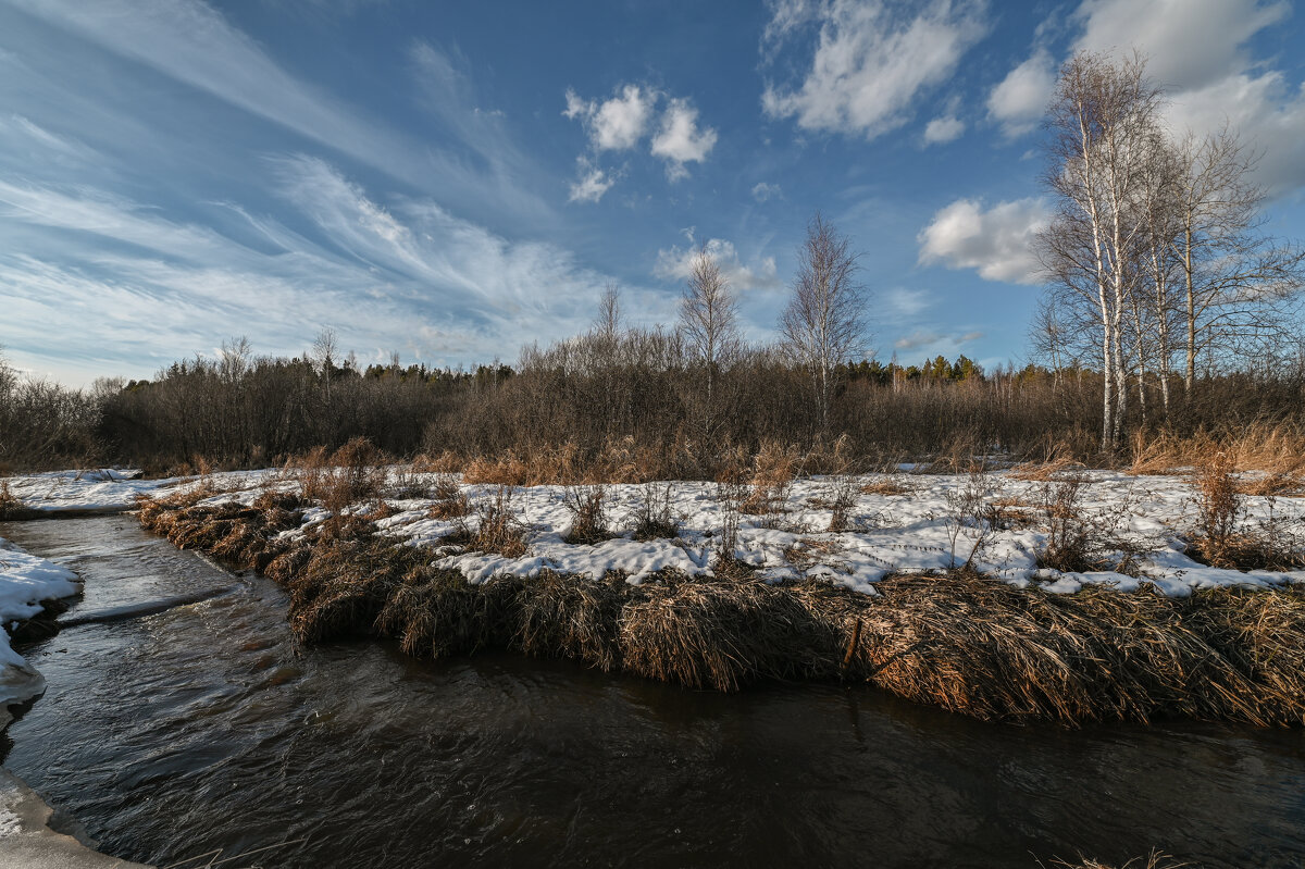 ранняя весна - сергей 