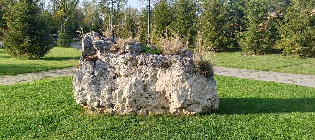 в лесопарке - Галина R...