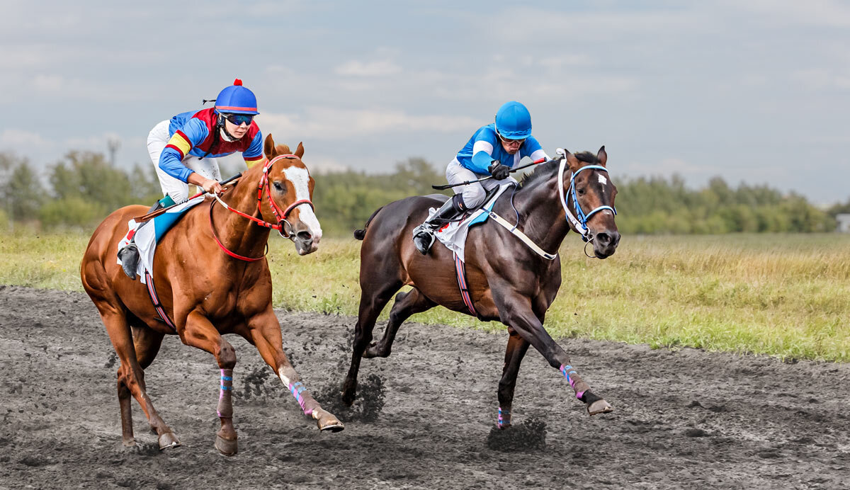 Скачки - SanSan 