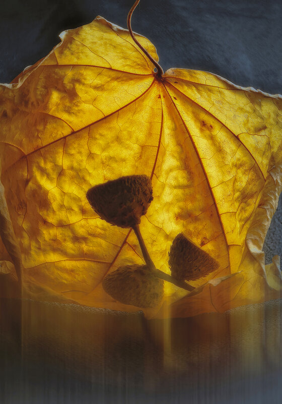 Воспоминание об осени. - Владимир Владимир