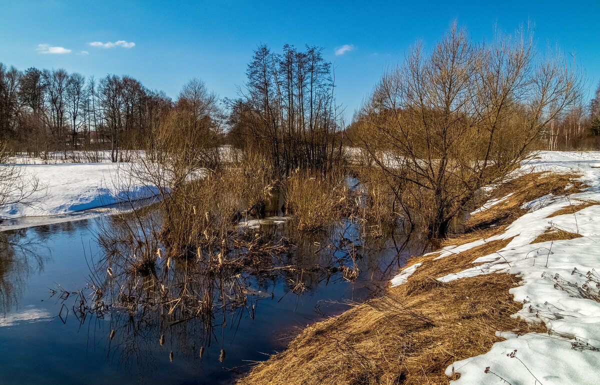 Вешние Воды 4 - Андрей Дворников